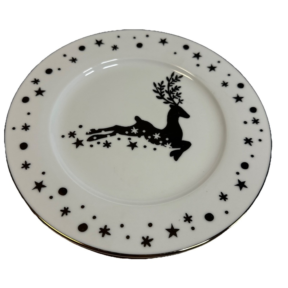 St. Nicholas Square  9 Inch Shine Bright Salad Plates- Set of 2